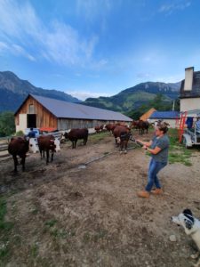 ferme cazaux