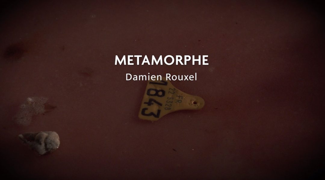 PERFORMANCE #3- DAMIEN ROUXEL-MÉTAMORPHE