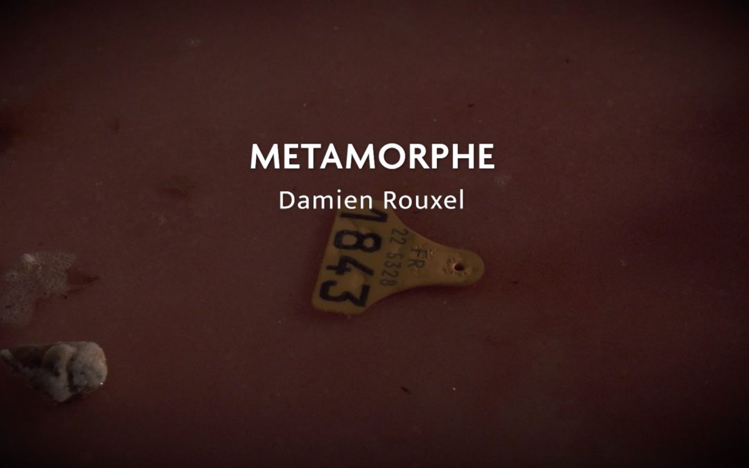 PERFORMANCE #3- DAMIEN ROUXEL-MÉTAMORPHE
