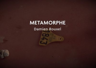 PERFORMANCE #3- DAMIEN ROUXEL-MÉTAMORPHE