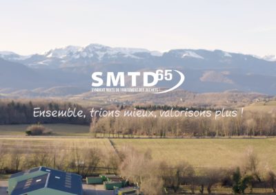 SMTD65
